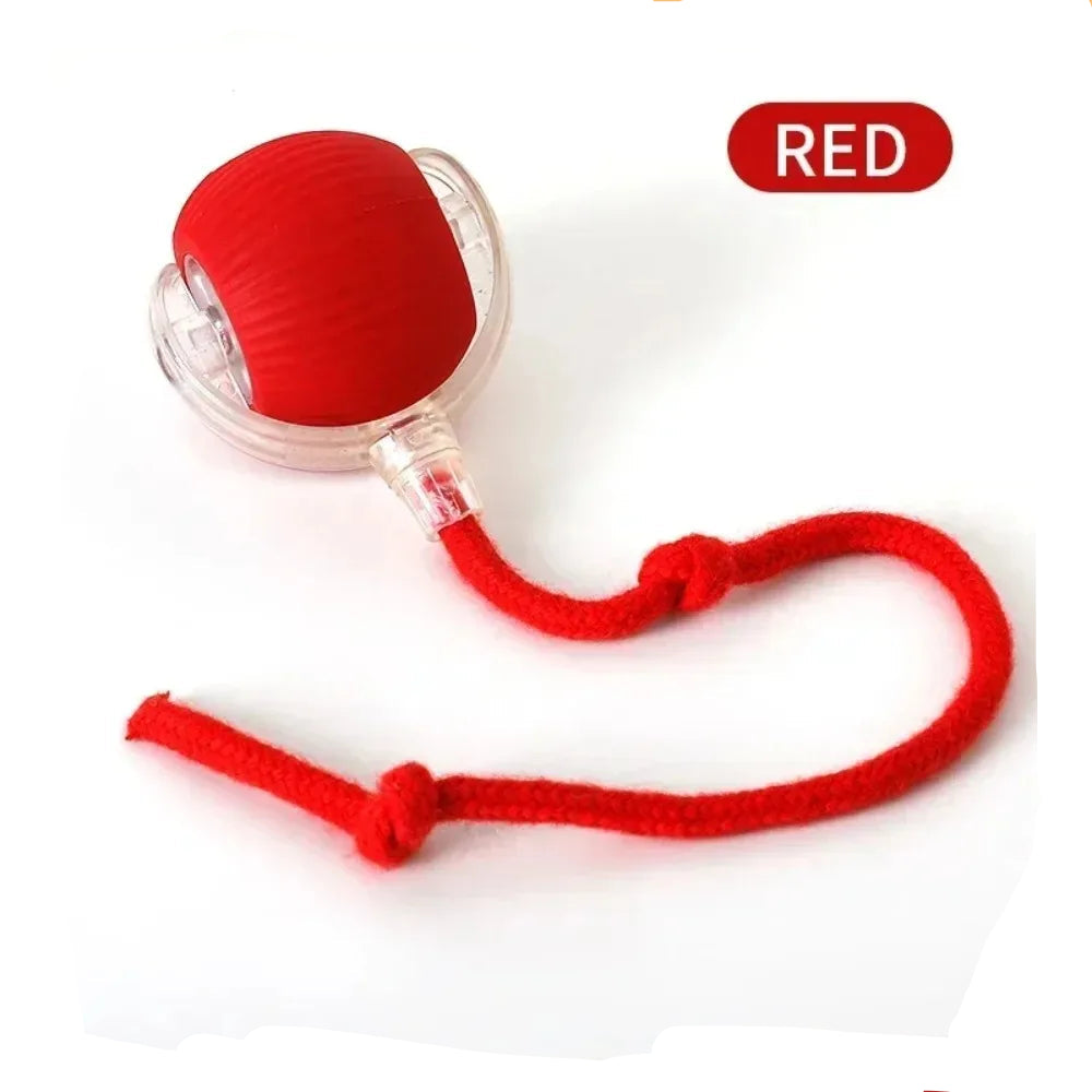 Petioo - Cat Interactive Ball Toy Automatic Smart Pet Electric Toy