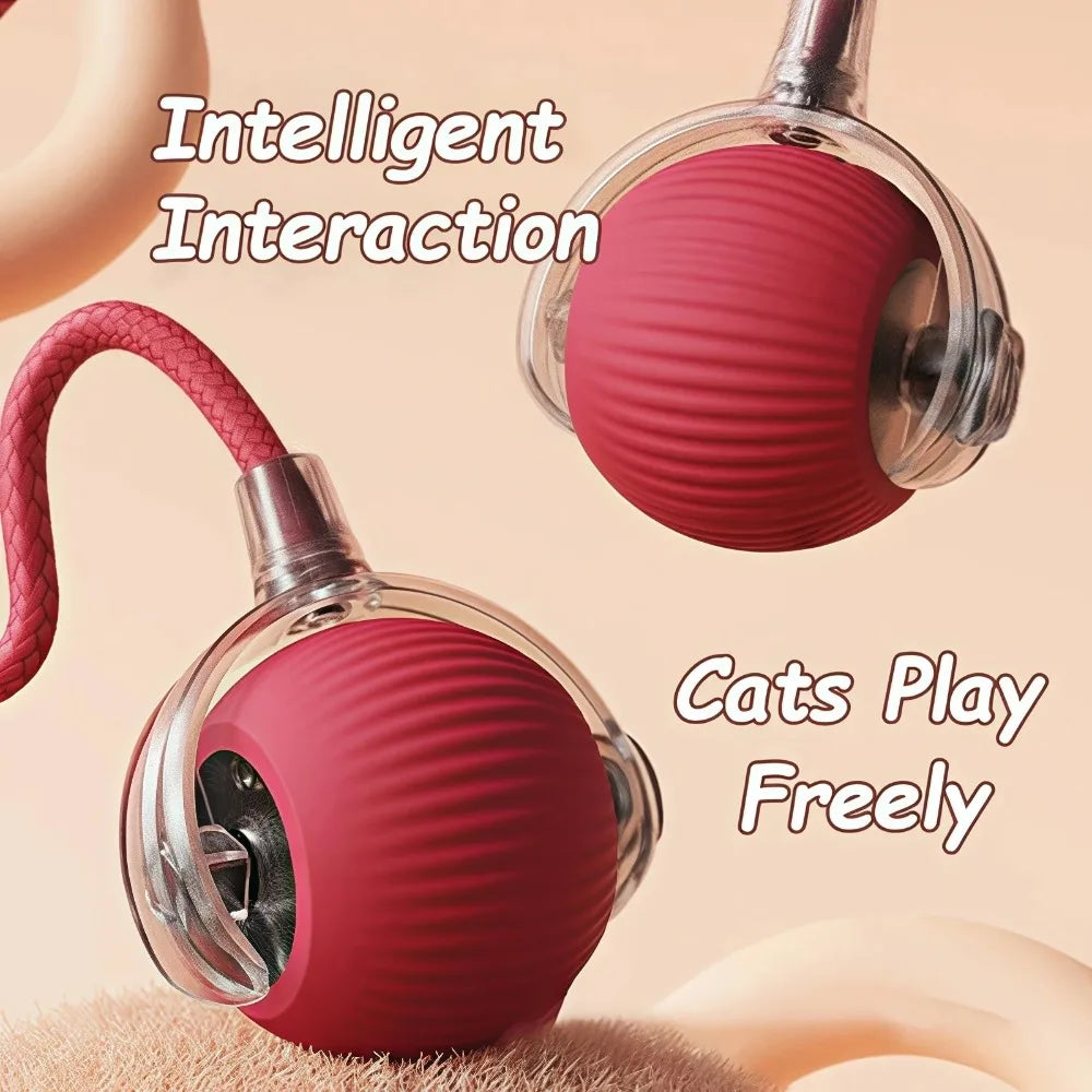 Petioo - Cat Interactive Ball Toy Automatic Smart Pet Electric Toy