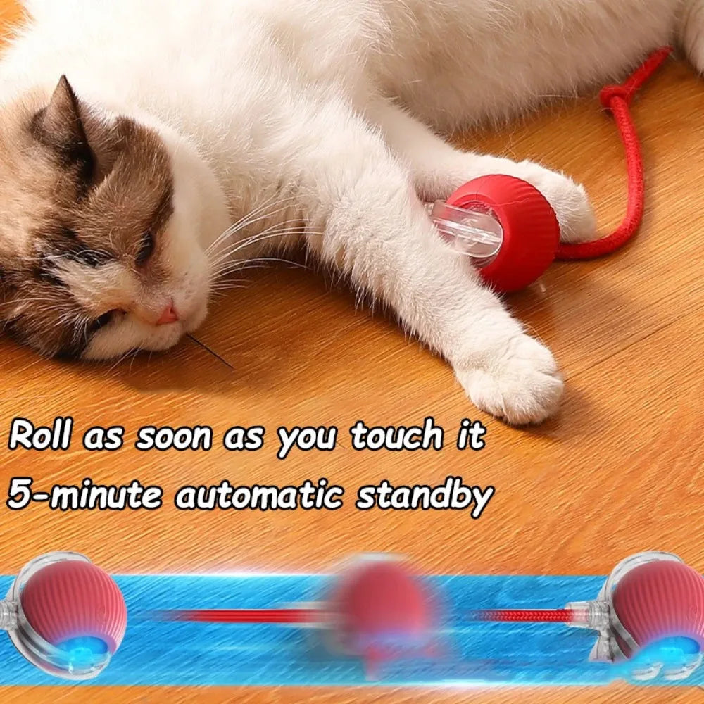 Petioo - Cat Interactive Ball Toy Automatic Smart Pet Electric Toy