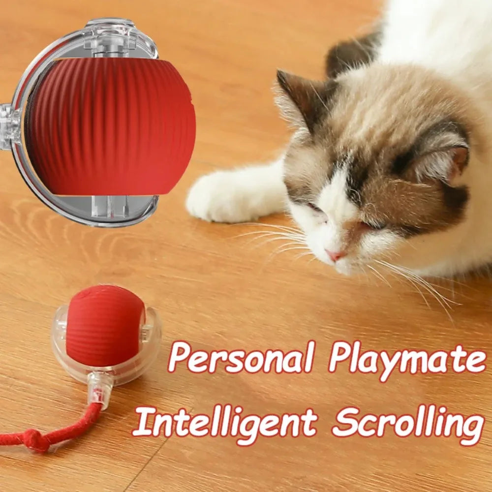 Petioo - Cat Interactive Ball Toy Automatic Smart Pet Electric Toy